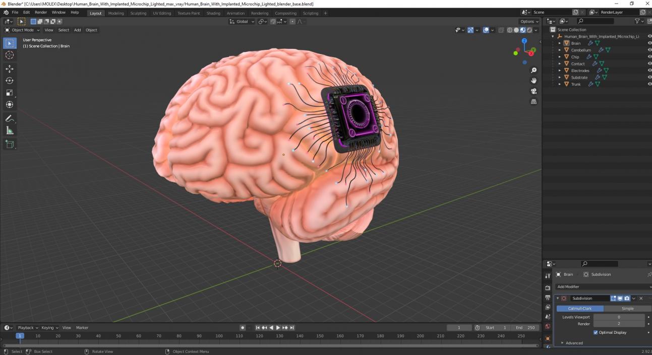 3D Human Brain With Implanted Microchip Lighted 2