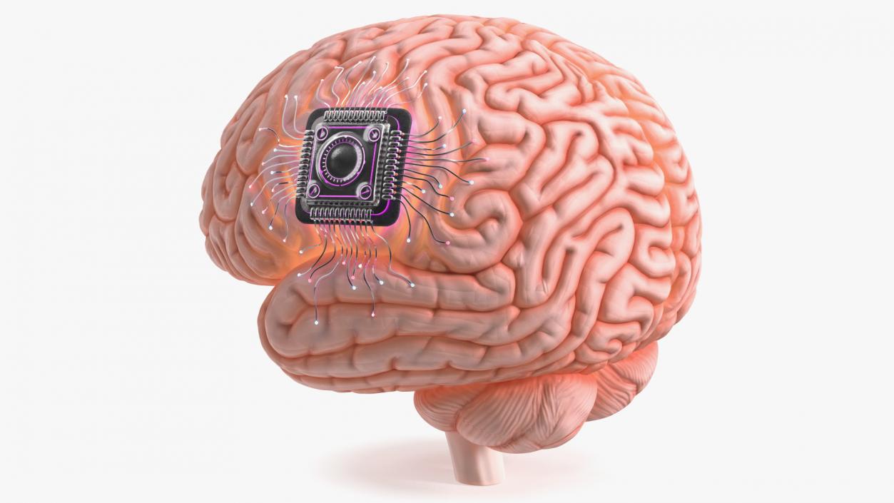 3D Human Brain With Implanted Microchip Lighted 2