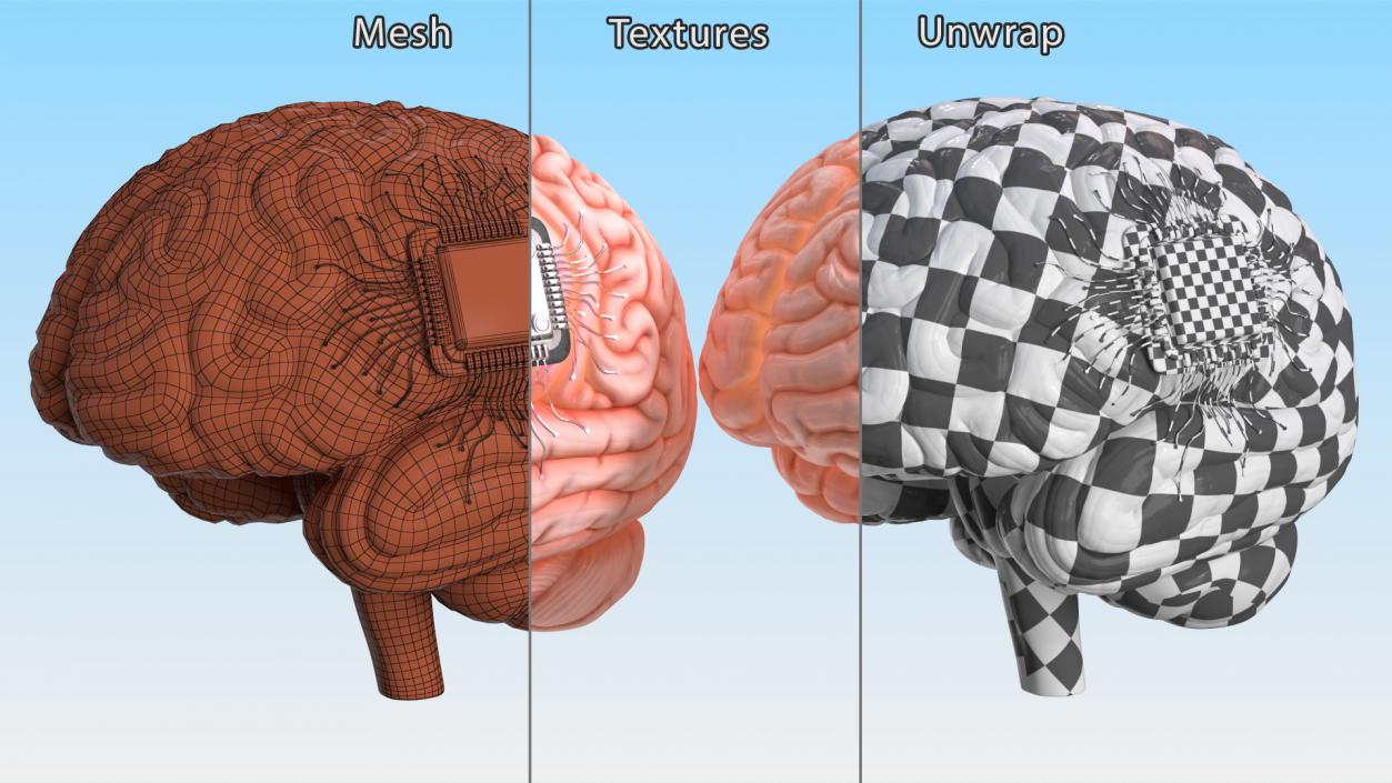 3D Human Brain With Implanted Microchip Lighted 2