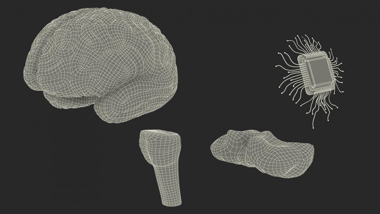 3D Human Brain With Implanted Microchip Lighted 2