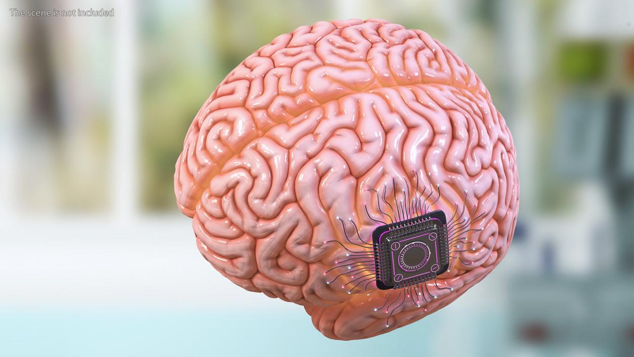 3D Human Brain With Implanted Microchip Lighted 2