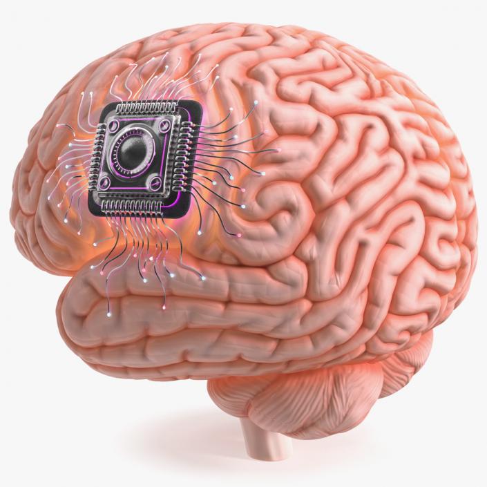 3D Human Brain With Implanted Microchip Lighted 2