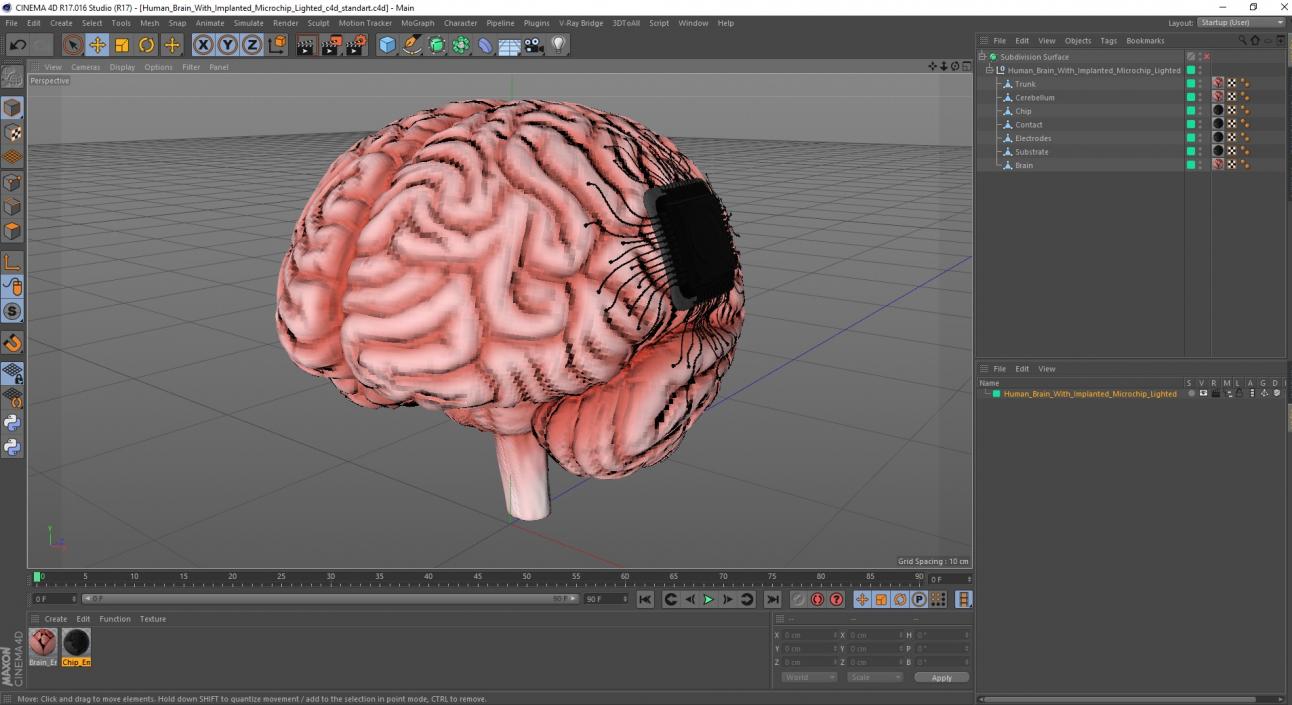 3D Human Brain With Implanted Microchip Lighted 2