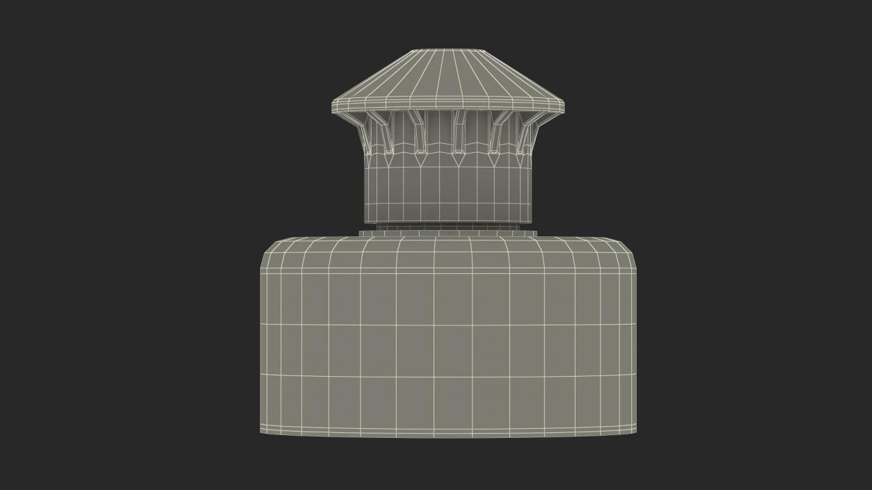 3D Push Pull Cap model