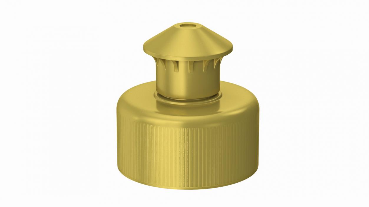 3D Push Pull Cap model