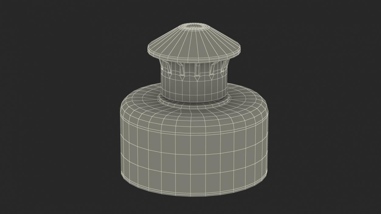 3D Push Pull Cap model