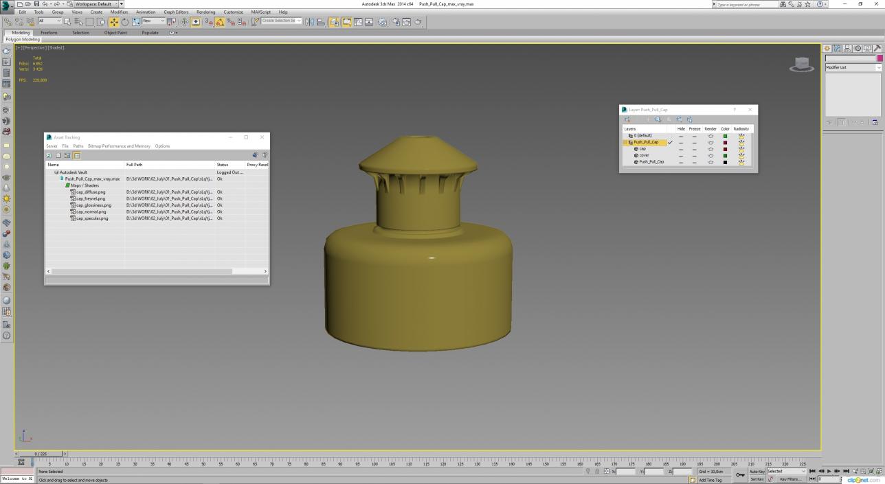 3D Push Pull Cap model