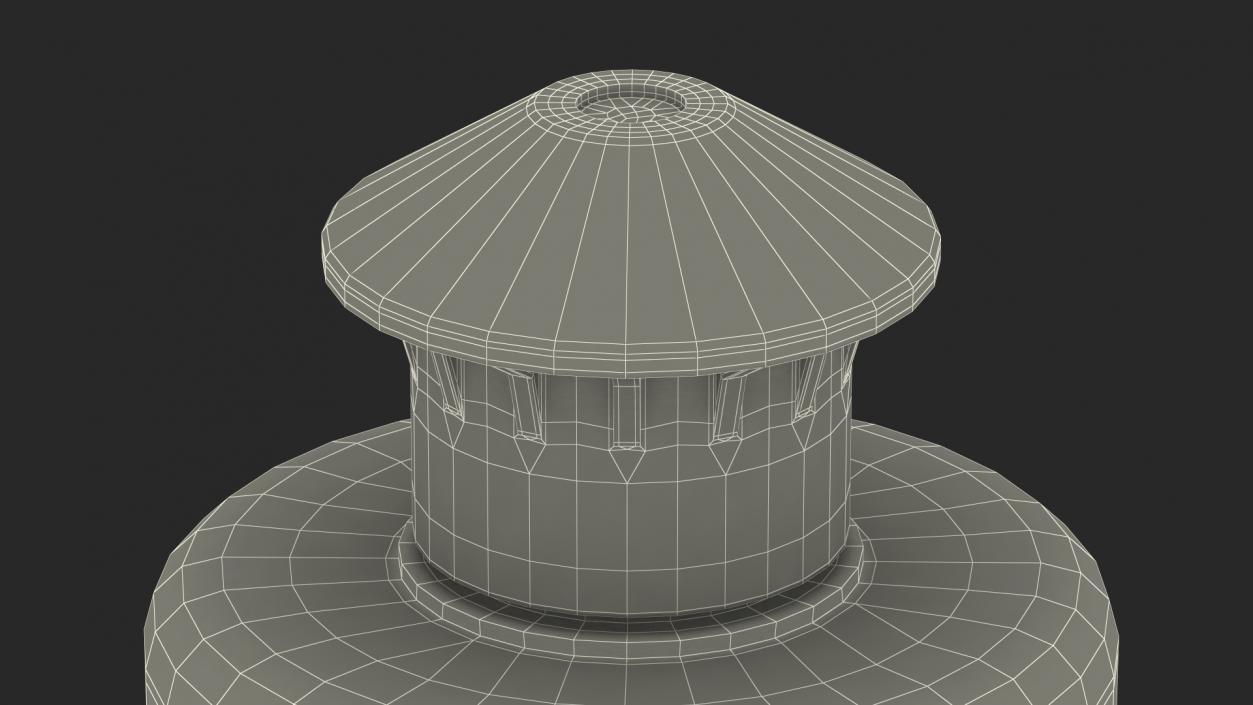 3D Push Pull Cap model