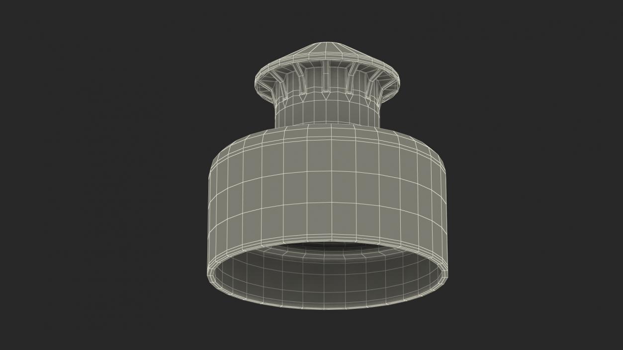 3D Push Pull Cap model