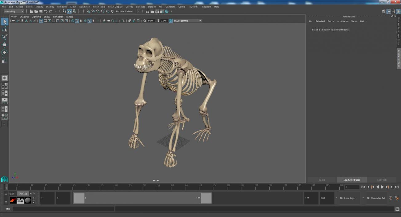 3D Articulated Gorilla Skeleton model