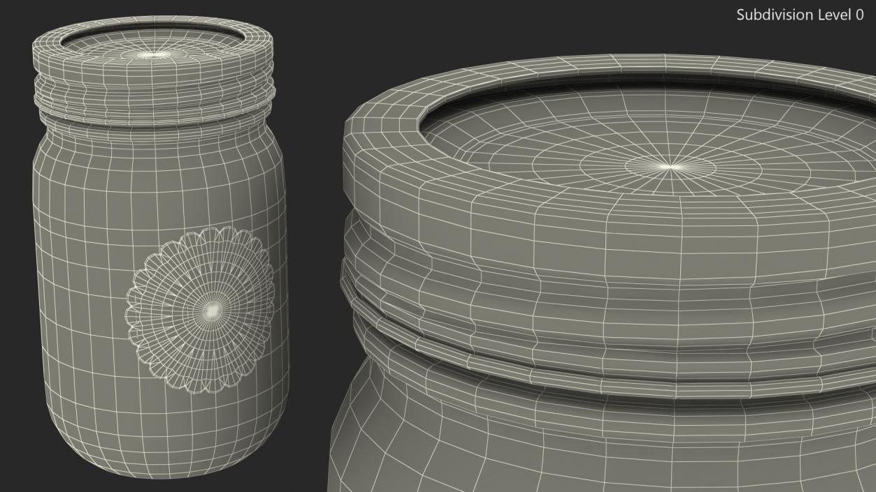 Jam Jar Blueberry 3D