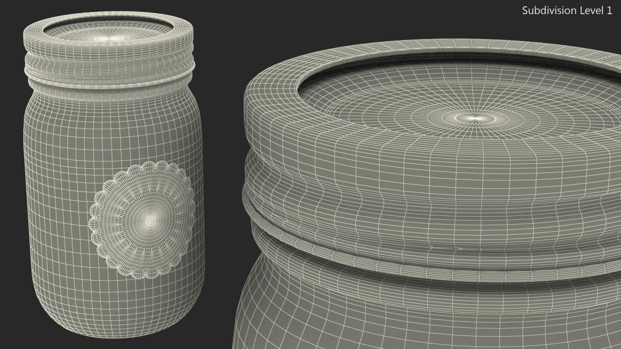 Jam Jar Blueberry 3D