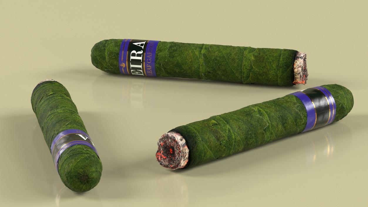 3D Leira Cannabis Cigar Burning model