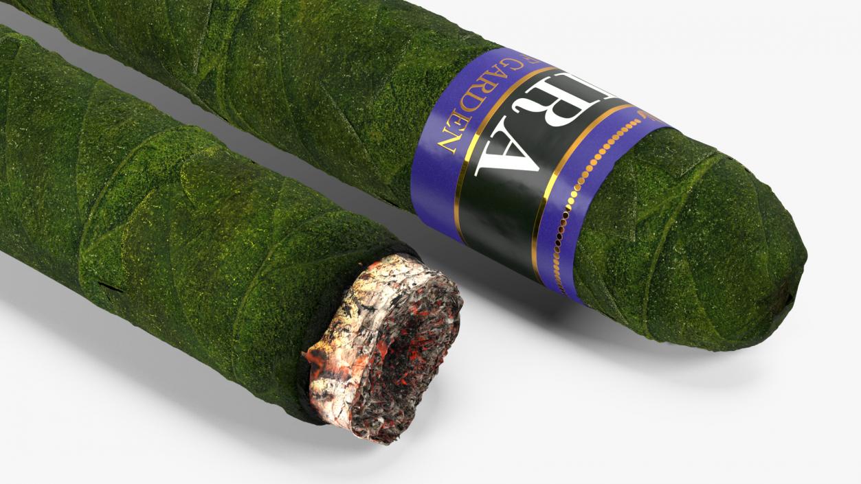 3D Leira Cannabis Cigar Burning model