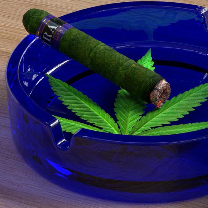 3D Leira Cannabis Cigar Burning model