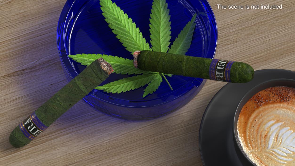 3D Leira Cannabis Cigar Burning model