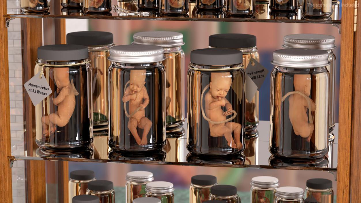 3D Embryos Collection model