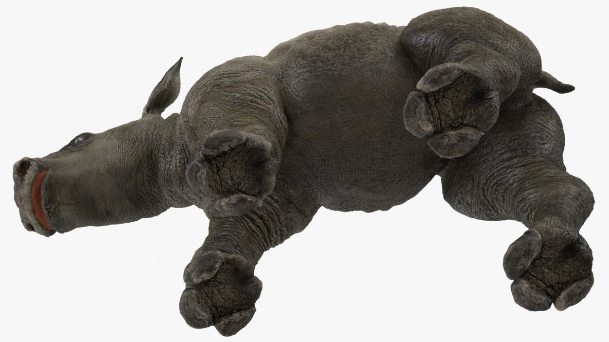 Baby Rhino Rigged 3D