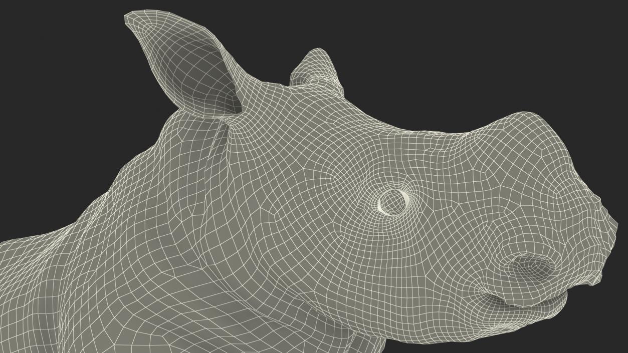 Baby Rhino Rigged 3D