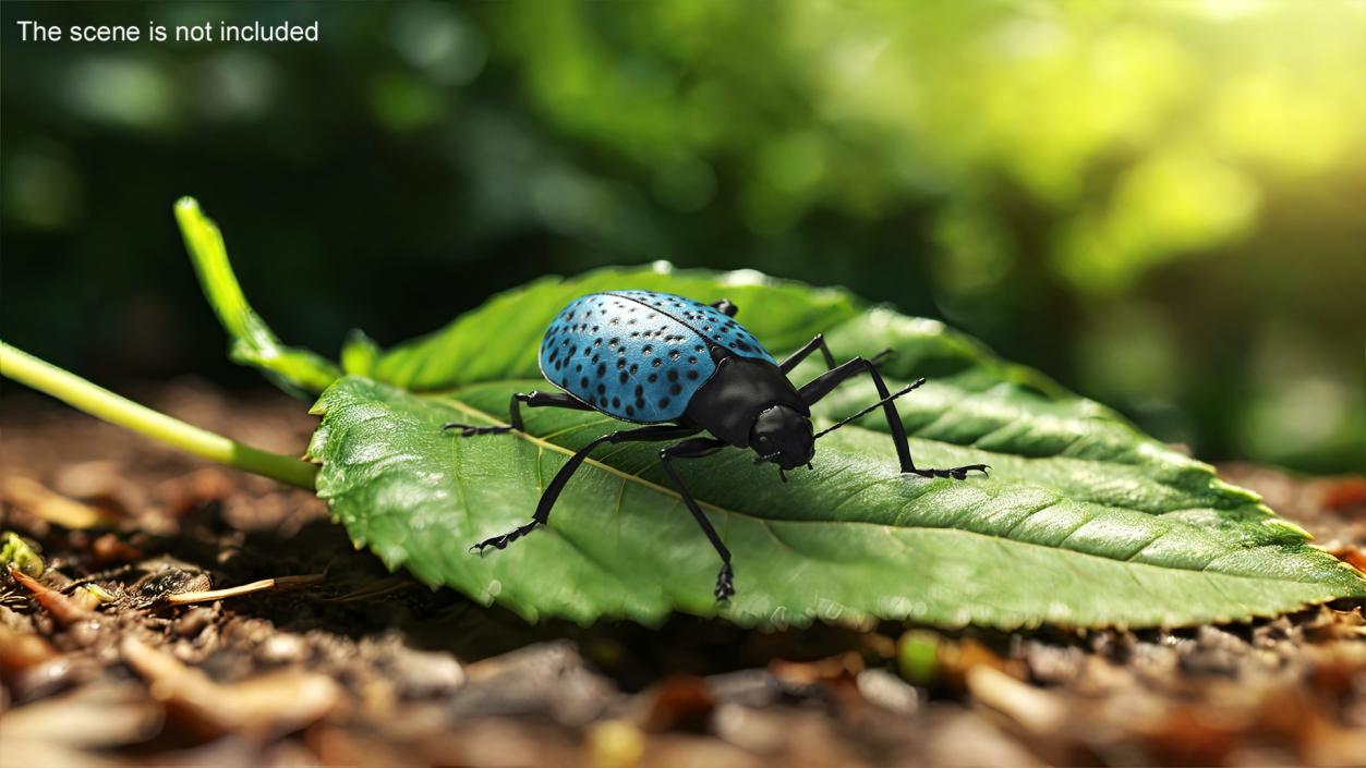 3D Blue Pleasing Fungus Beetle Rigged Fur model