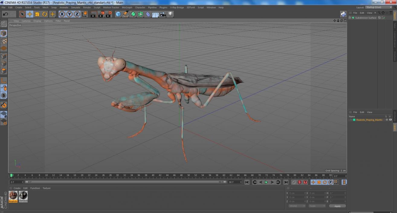 3D Realistic Praying Mantis 2