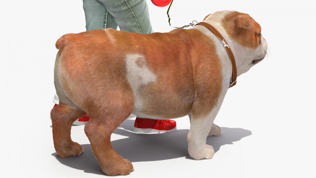 Girl Walks with a Bulldog Fur 3D model