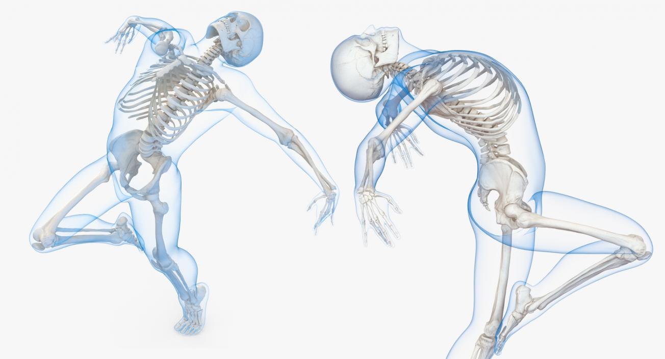 3D model Male Body with Skeleton Ballet Pose