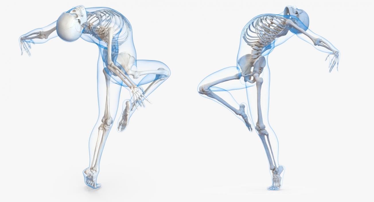 3D model Male Body with Skeleton Ballet Pose