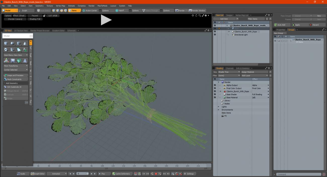 Cilantro Bunch With Rope 3D model