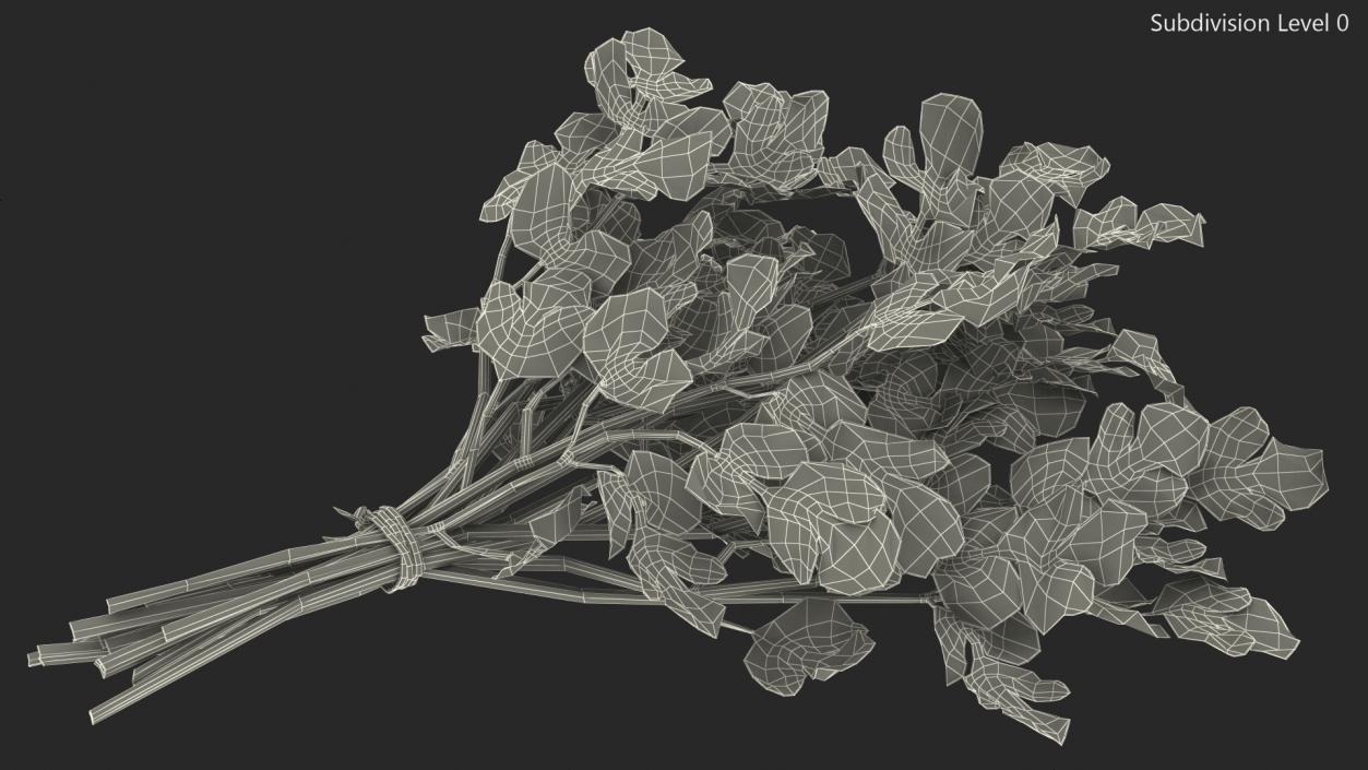 Cilantro Bunch With Rope 3D model