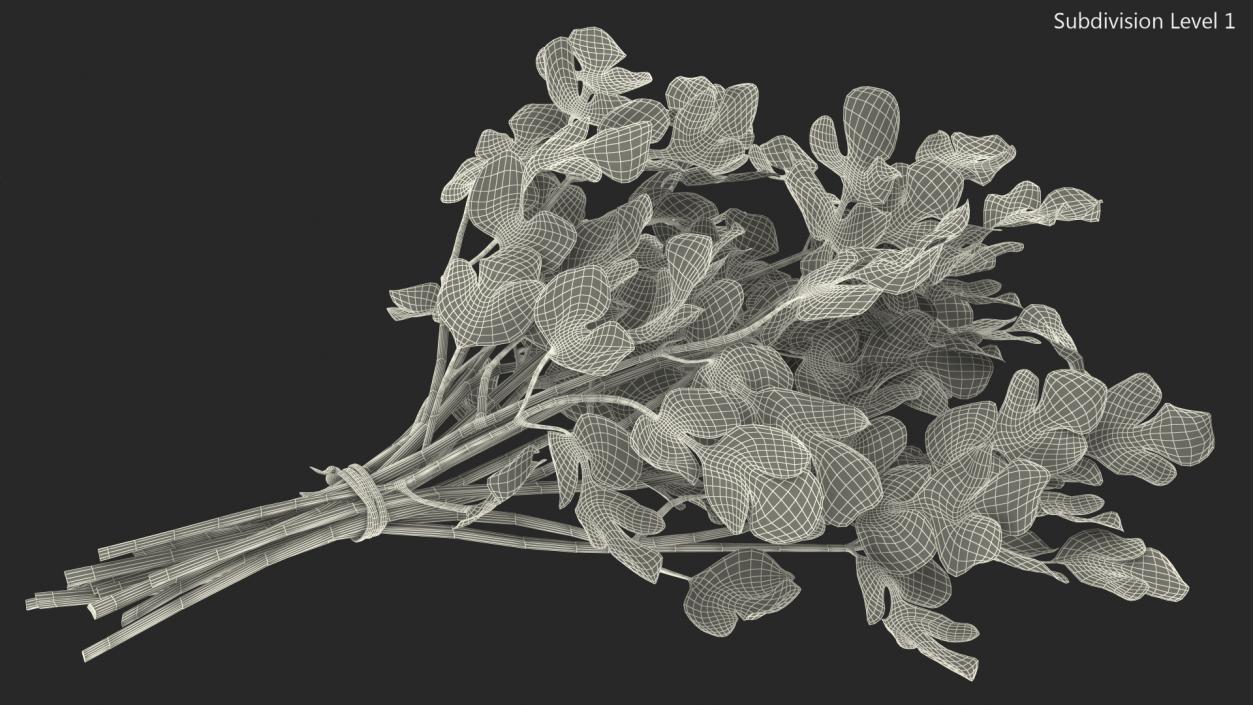 Cilantro Bunch With Rope 3D model