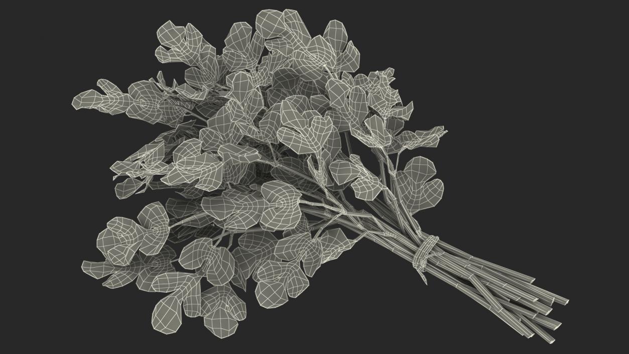 Cilantro Bunch With Rope 3D model