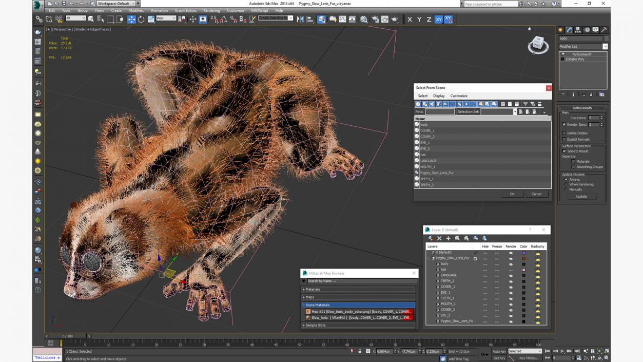 3D model Pygmy Slow Loris Fur