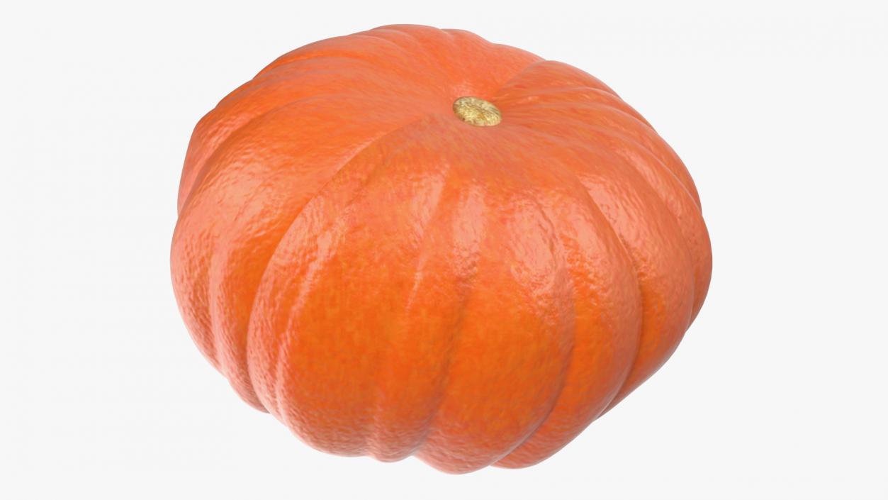 Realistic Halloween Pumpkin 3D