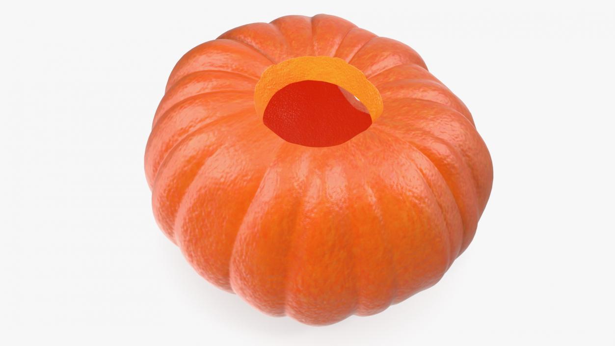 Realistic Halloween Pumpkin 3D