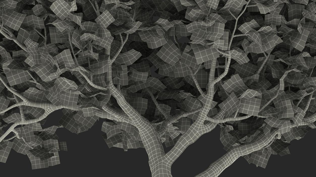 Big Fig Tree 3D