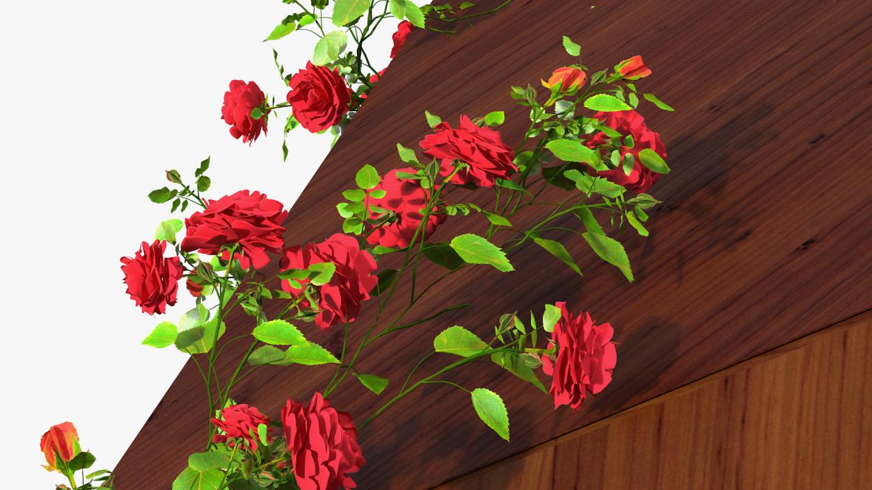 3D Wooden Gazebo Covered with Red Roses