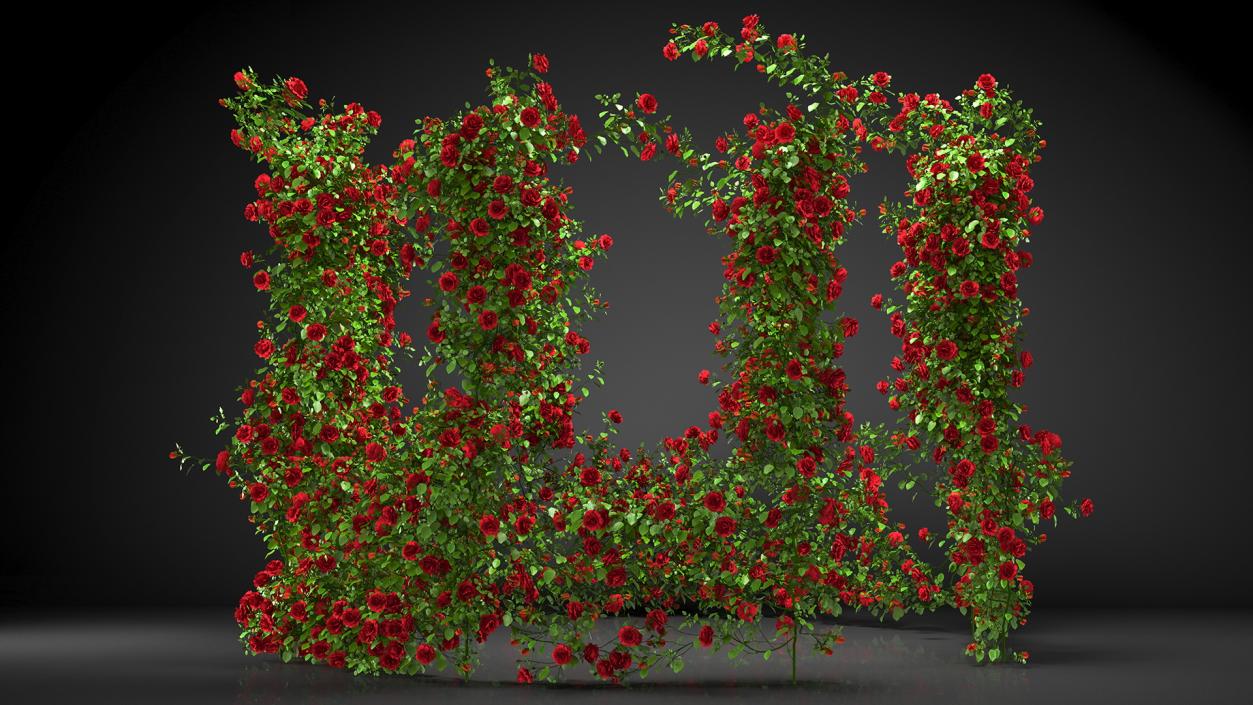 3D Wooden Gazebo Covered with Red Roses