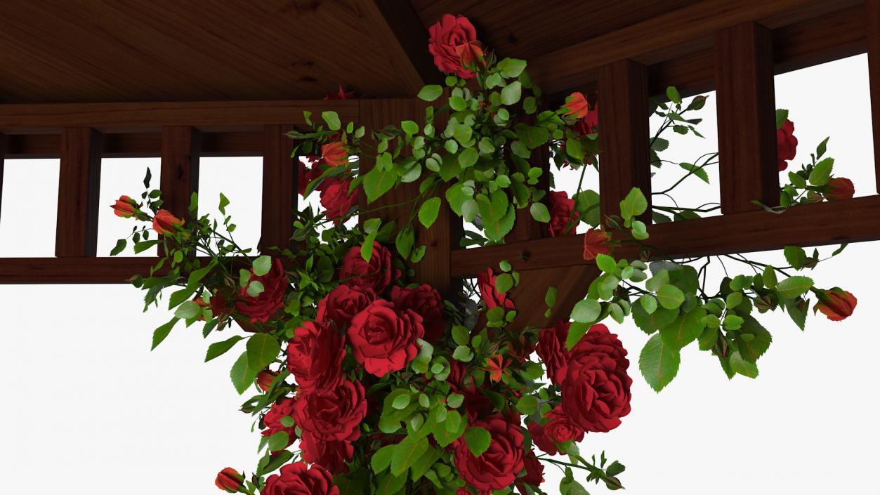 3D Wooden Gazebo Covered with Red Roses