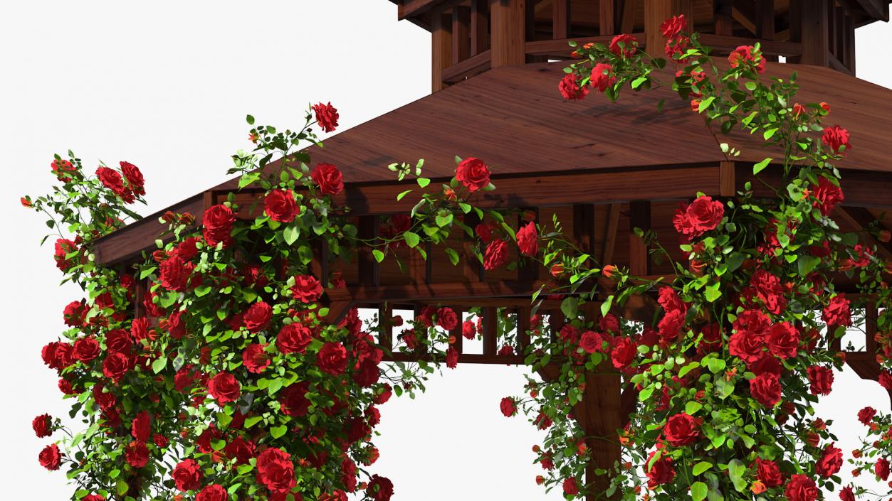 3D Wooden Gazebo Covered with Red Roses