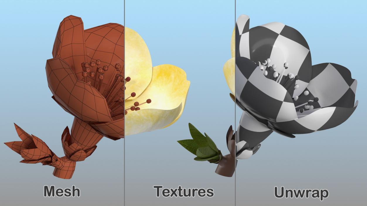 3D Flowers Collection 14