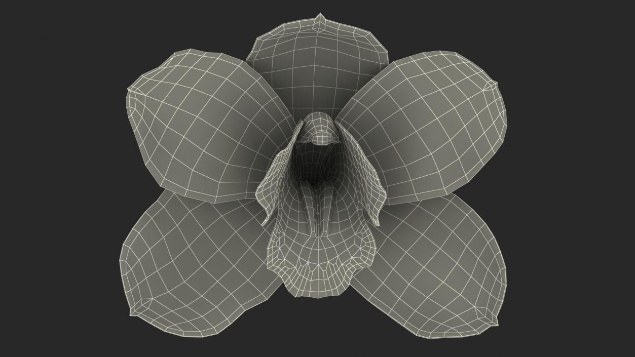 3D Flowers Collection 14