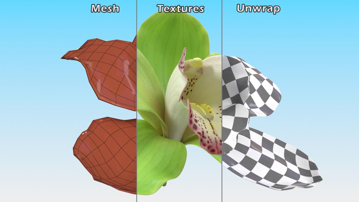 3D Flowers Collection 14