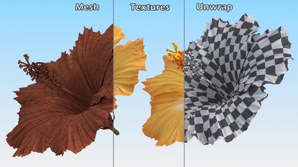 3D Flowers Collection 14