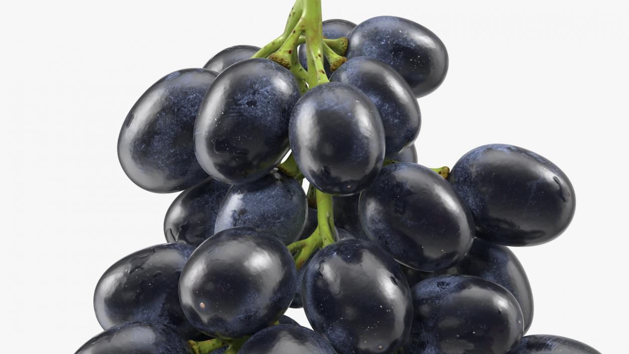 3D Cluster of Black Grapes model