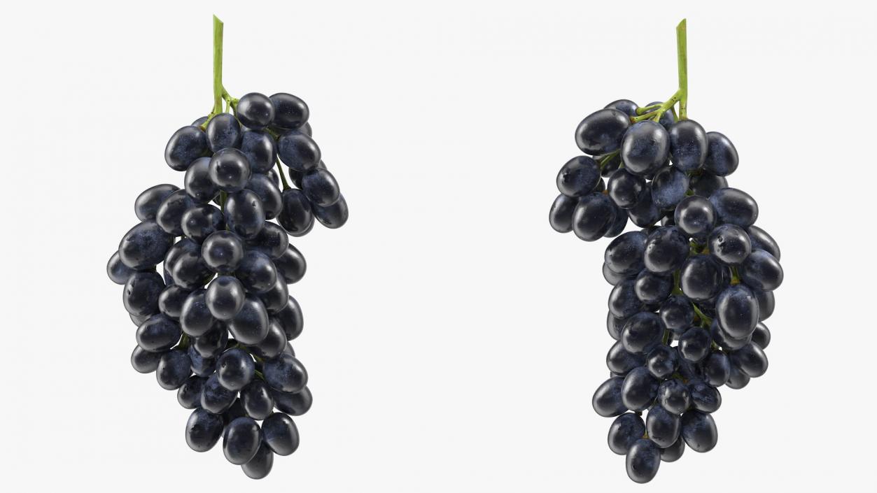 3D Cluster of Black Grapes model