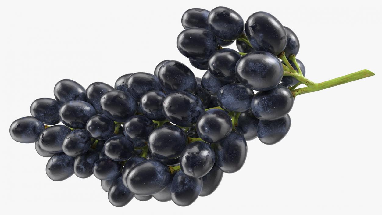 3D Cluster of Black Grapes model