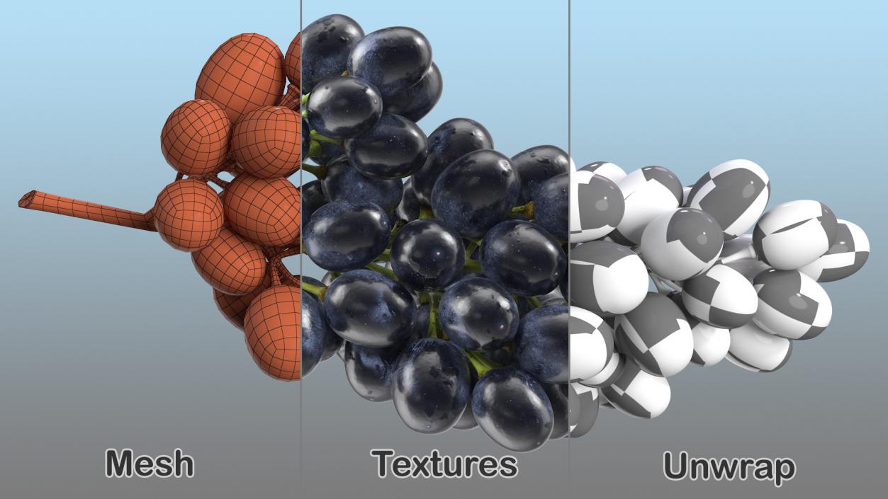 3D Cluster of Black Grapes model