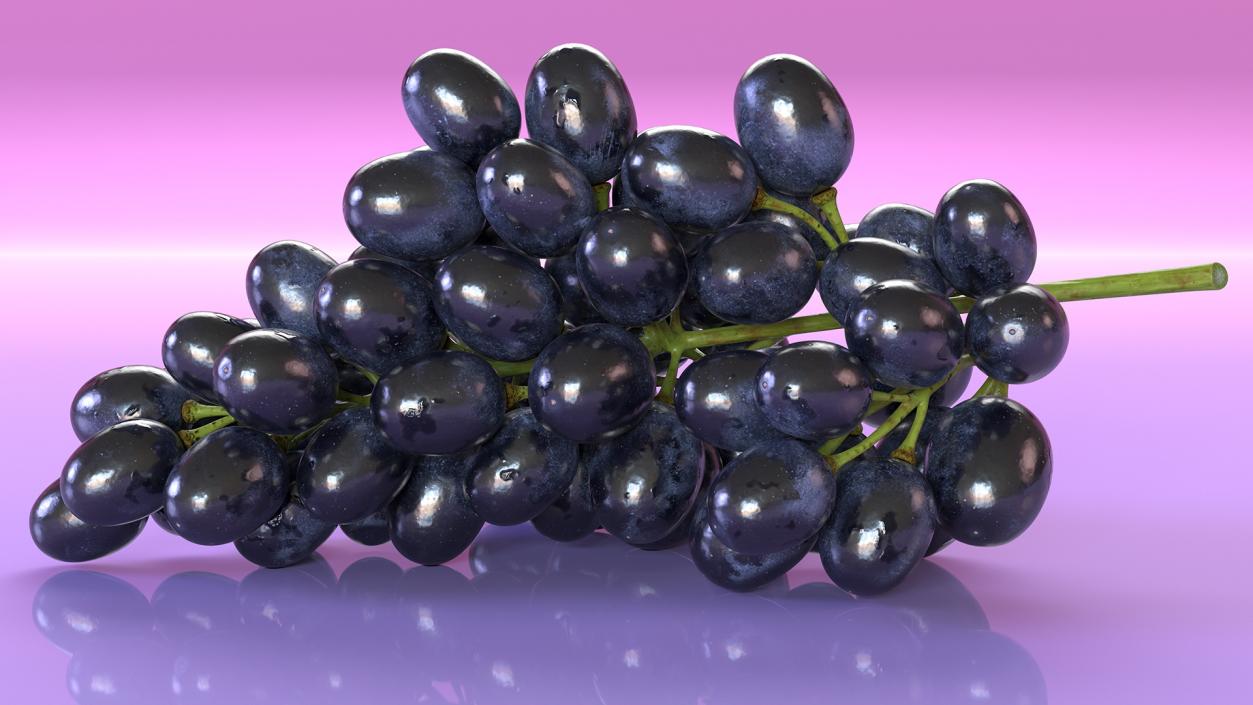 3D Cluster of Black Grapes model