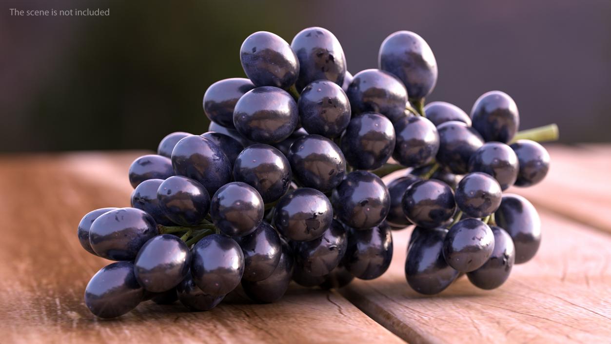 3D Cluster of Black Grapes model